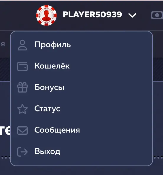 вавада вход личный кабинет Vavada личный кабинет